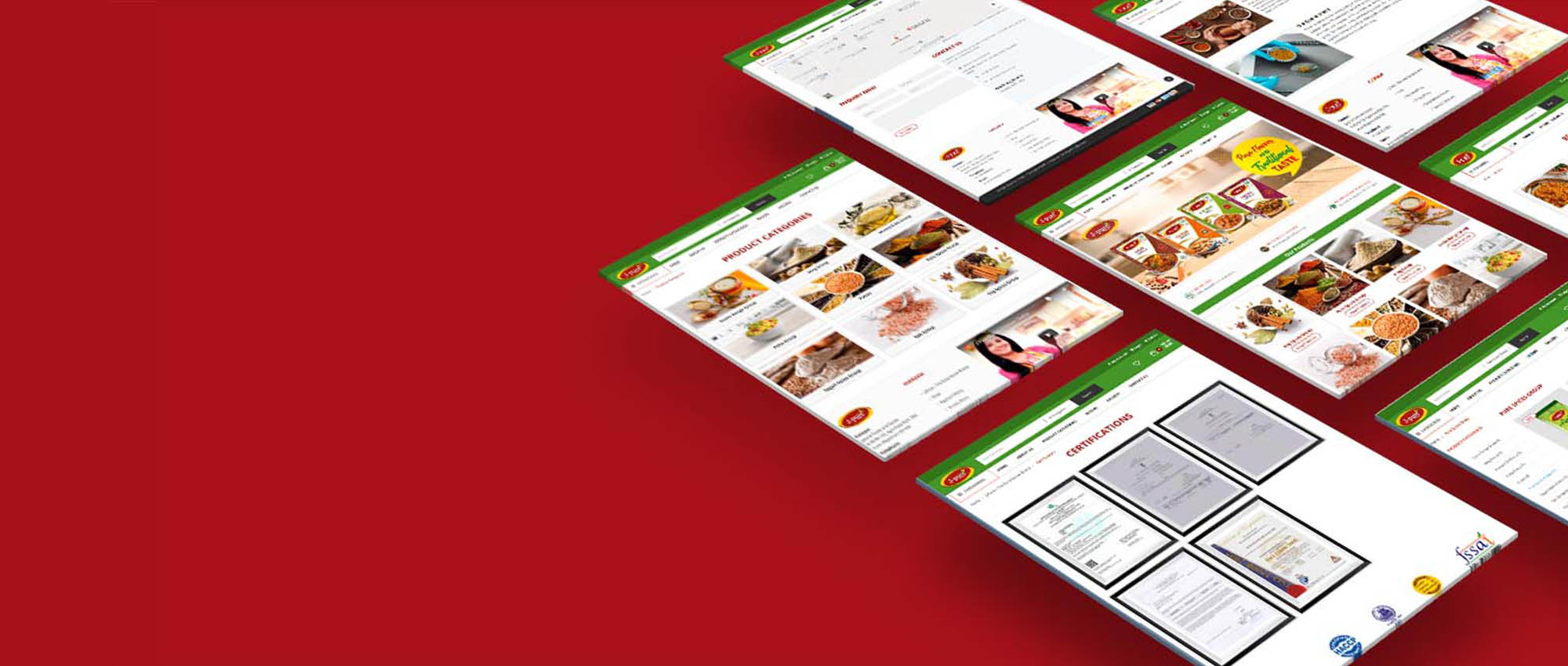Website Designing Services in Delhi|Best Web Development Company in Delhi|Web  Development in Delhi
